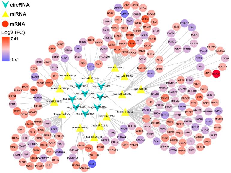 https://cdn.ncbi.nlm.nih.gov/pmc/blobs/23d3/7762515/1193372e4149/aging-12-104107-g006.jpg