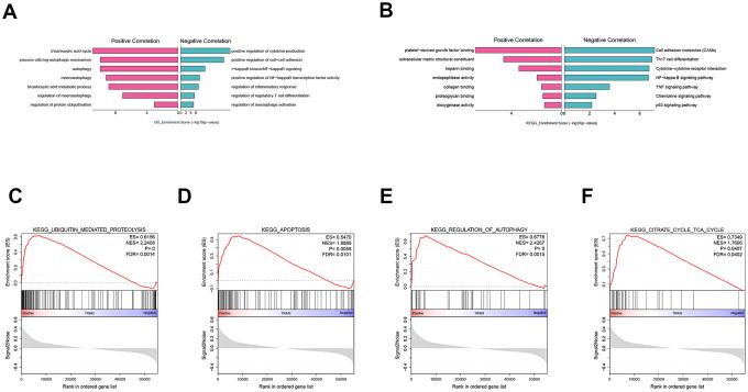 https://cdn.ncbi.nlm.nih.gov/pmc/blobs/23d3/7762515/73d694a1f066/aging-12-104107-g010.jpg
