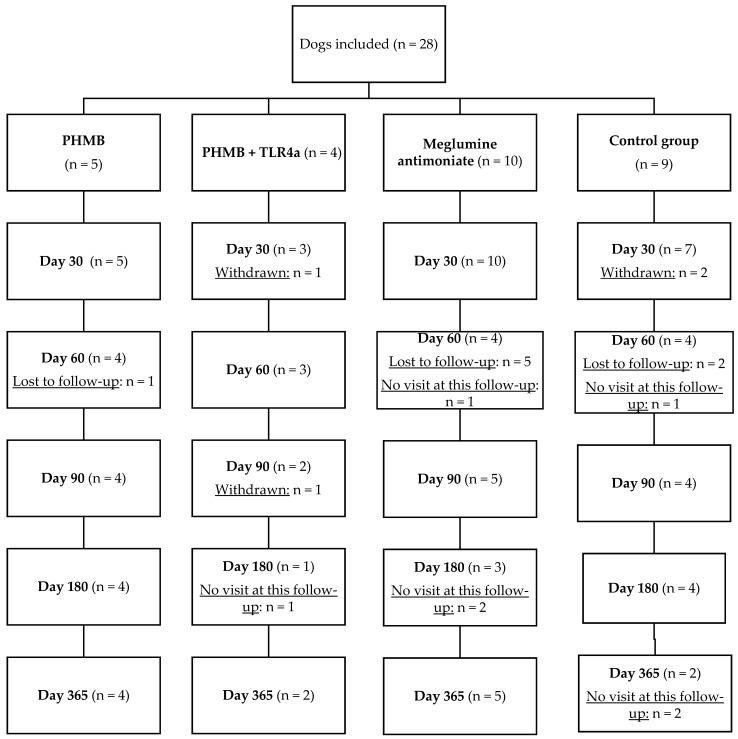 https://cdn.ncbi.nlm.nih.gov/pmc/blobs/23d4/10304710/b3b6f5a80030/pathogens-12-00821-g003.jpg