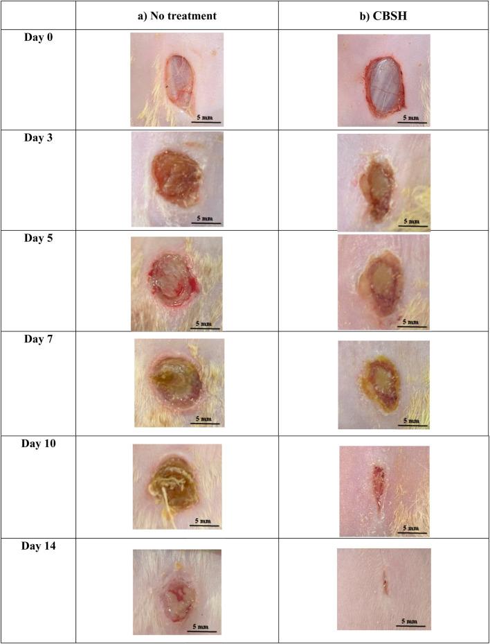 https://cdn.ncbi.nlm.nih.gov/pmc/blobs/23d4/12370739/5e4dc9059479/fchem-13-1621717-g003.jpg