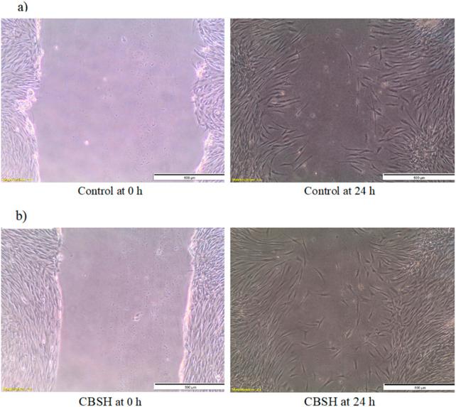 https://cdn.ncbi.nlm.nih.gov/pmc/blobs/23d4/12370739/8caeeee6e74c/fchem-13-1621717-g002.jpg