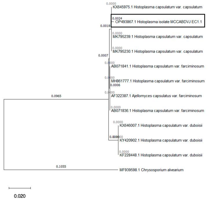 https://cdn.ncbi.nlm.nih.gov/pmc/blobs/23d6/10538155/a1dfed255458/pathogens-12-01112-g003.jpg