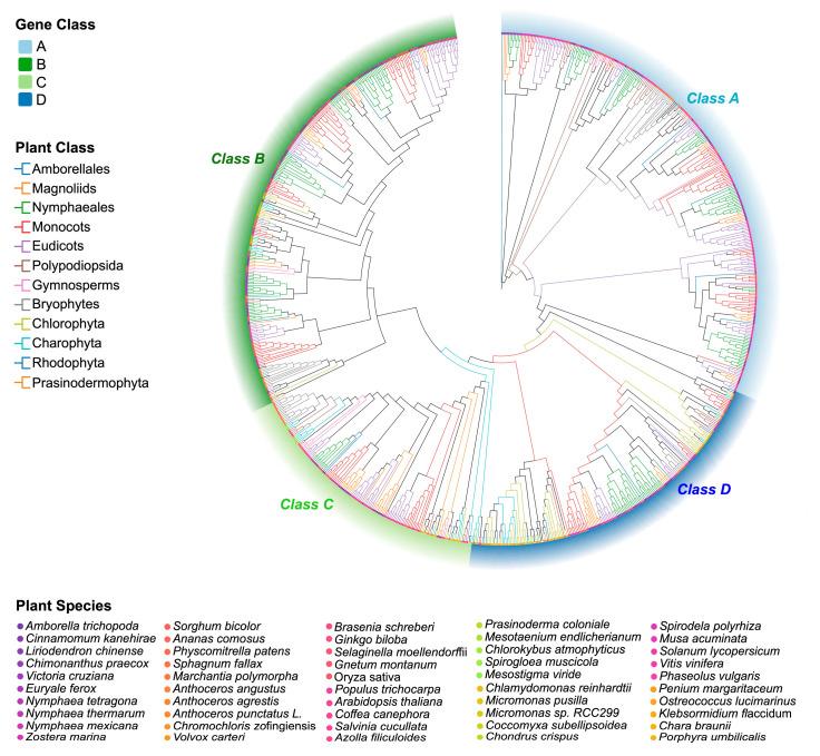 https://cdn.ncbi.nlm.nih.gov/pmc/blobs/23d6/12388945/7fa234c8954d/plants-14-02456-g001.jpg