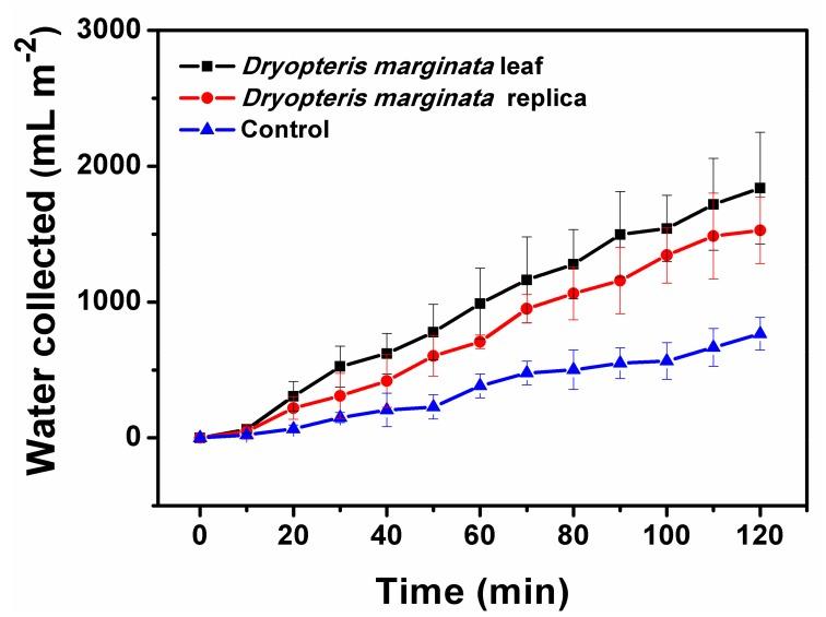 https://cdn.ncbi.nlm.nih.gov/pmc/blobs/23d6/6352672/ccd8ddc49c55/biomimetics-03-00007-g008.jpg