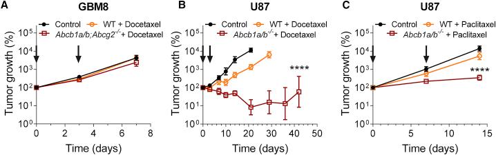 https://cdn.ncbi.nlm.nih.gov/pmc/blobs/23d6/7817868/3fd616ca4de0/gr4.jpg