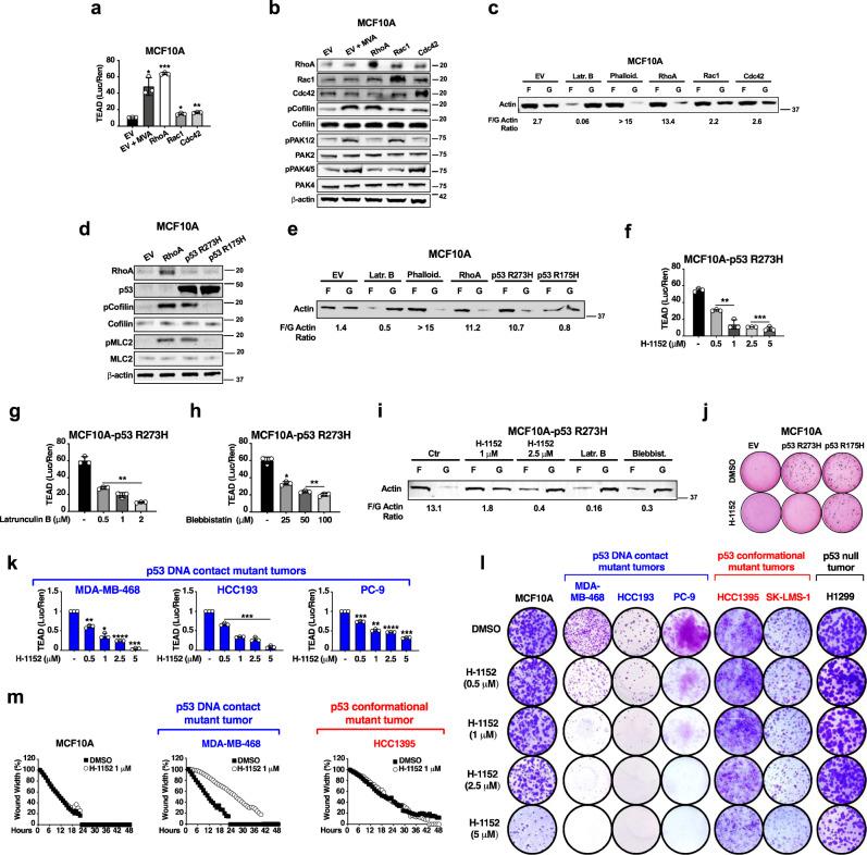 https://cdn.ncbi.nlm.nih.gov/pmc/blobs/23d6/8817028/1d66fdaaa7f7/41467_2022_28319_Fig2_HTML.jpg