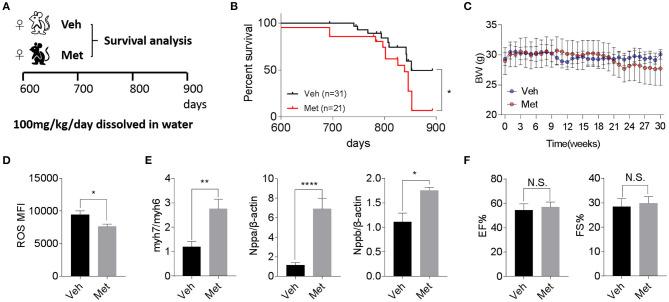 https://cdn.ncbi.nlm.nih.gov/pmc/blobs/23d7/7877555/b3d60cba9323/fcell-08-626011-g0002.jpg