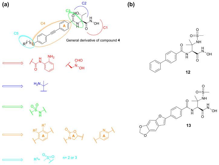https://cdn.ncbi.nlm.nih.gov/pmc/blobs/23d8/10254716/d52eb0a4ce50/molecules-28-04378-g009.jpg