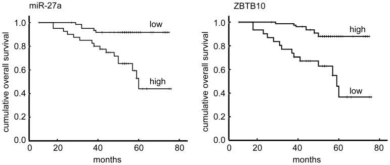 https://cdn.ncbi.nlm.nih.gov/pmc/blobs/23d8/3519894/c04c8a05962a/pone.0051702.g003.jpg