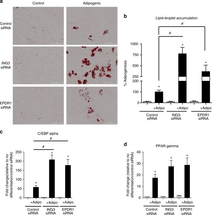 https://cdn.ncbi.nlm.nih.gov/pmc/blobs/23d8/6425012/7ac9b1e98316/41467_2019_9302_Fig3_HTML.jpg