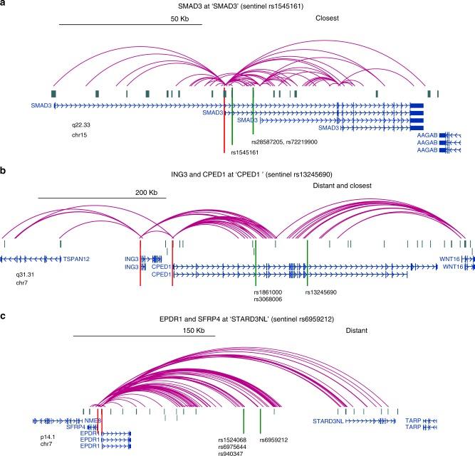 https://cdn.ncbi.nlm.nih.gov/pmc/blobs/23d8/6425012/896ccddb4fcb/41467_2019_9302_Fig1_HTML.jpg