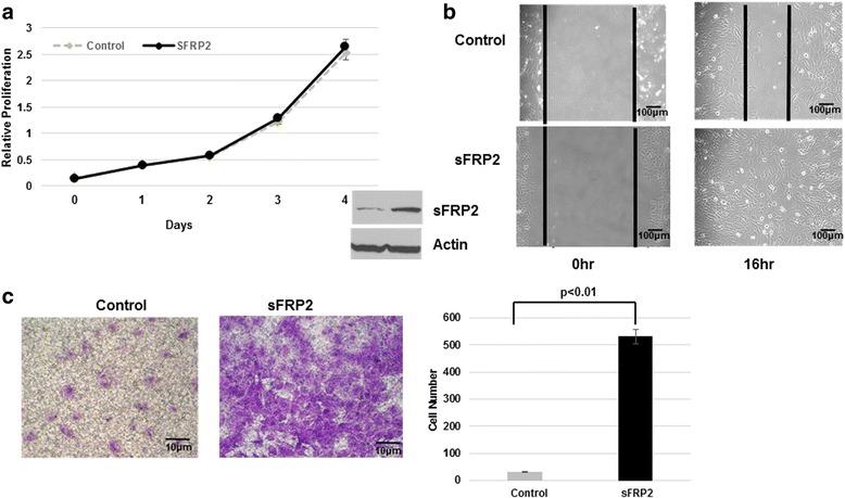 https://cdn.ncbi.nlm.nih.gov/pmc/blobs/23d9/5100268/a0d164723cc0/12885_2016_2909_Fig2_HTML.jpg