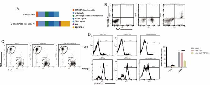 https://cdn.ncbi.nlm.nih.gov/pmc/blobs/23da/12339745/407870903fc8/41598_2025_15086_Fig3_HTML.jpg