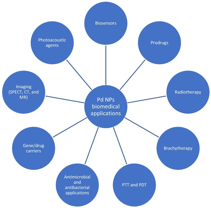 https://cdn.ncbi.nlm.nih.gov/pmc/blobs/23db/11434984/871d124cd508/pharmaceutics-16-01162-g004.jpg