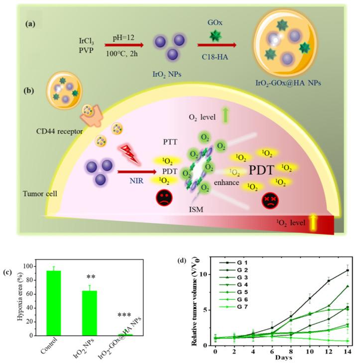 https://cdn.ncbi.nlm.nih.gov/pmc/blobs/23db/11434984/c0057b0eab8e/pharmaceutics-16-01162-g007.jpg