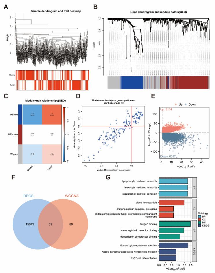 https://cdn.ncbi.nlm.nih.gov/pmc/blobs/23dc/11410816/a5388910f8c2/41598_2024_73071_Fig3_HTML.jpg