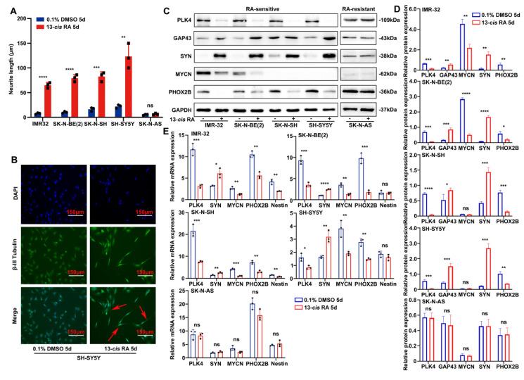 https://cdn.ncbi.nlm.nih.gov/pmc/blobs/23dc/12374821/00dfc76fec80/ijbsv21p4979g001.jpg