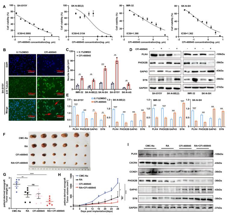 https://cdn.ncbi.nlm.nih.gov/pmc/blobs/23dc/12374821/4f12b6b3d069/ijbsv21p4979g006.jpg
