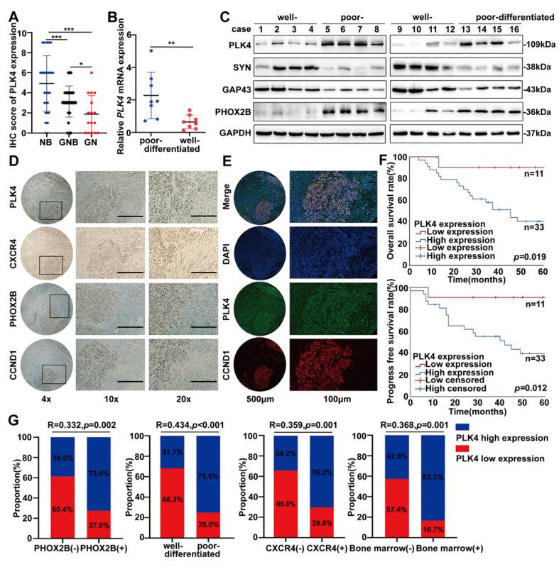 https://cdn.ncbi.nlm.nih.gov/pmc/blobs/23dc/12374821/a9ca93f1efed/ijbsv21p4979g005.jpg