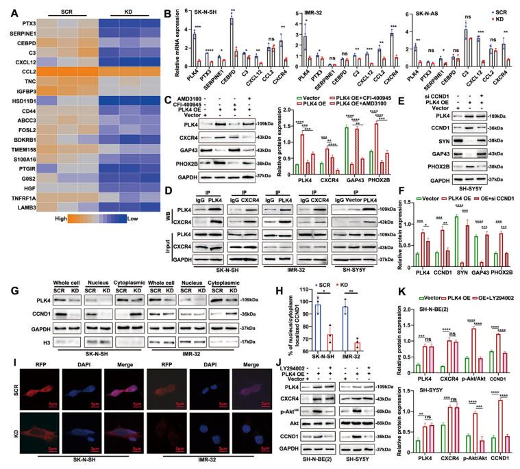 https://cdn.ncbi.nlm.nih.gov/pmc/blobs/23dc/12374821/d4ed2037949d/ijbsv21p4979g004.jpg