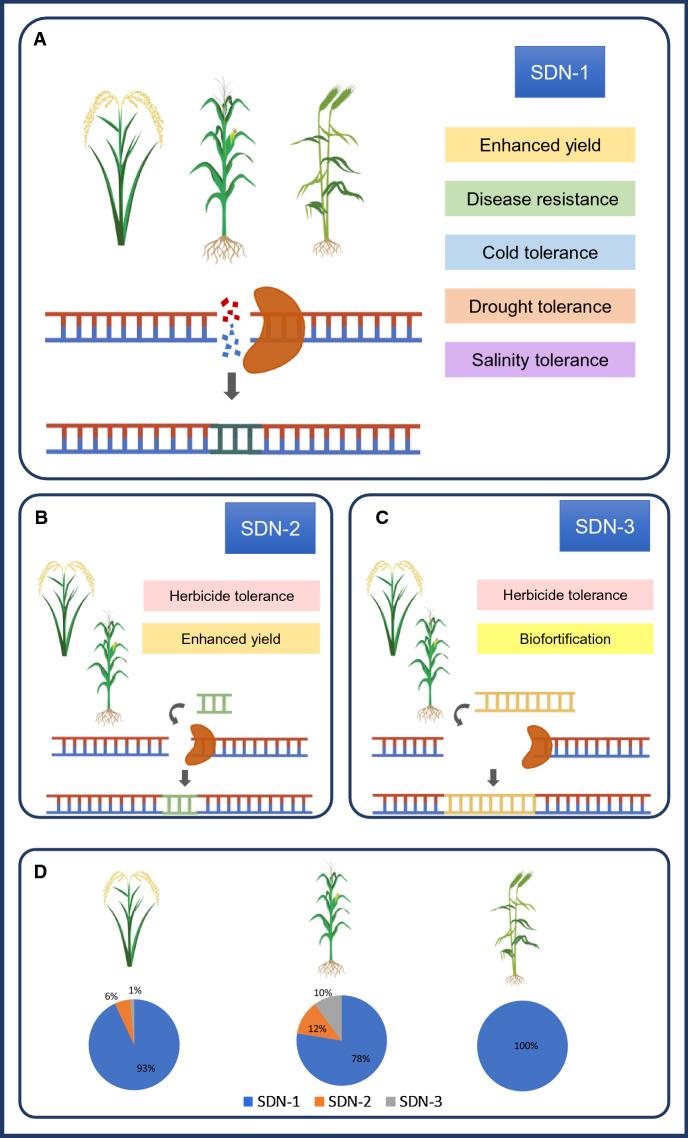 https://cdn.ncbi.nlm.nih.gov/pmc/blobs/23dd/8316241/cb67302aec43/11248_2021_259_Fig1_HTML.jpg