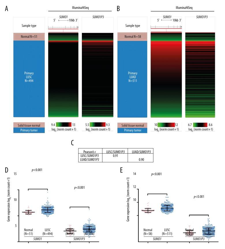https://cdn.ncbi.nlm.nih.gov/pmc/blobs/23df/6752103/1cfcd67c3166/medscimonit-25-6691-g001.jpg