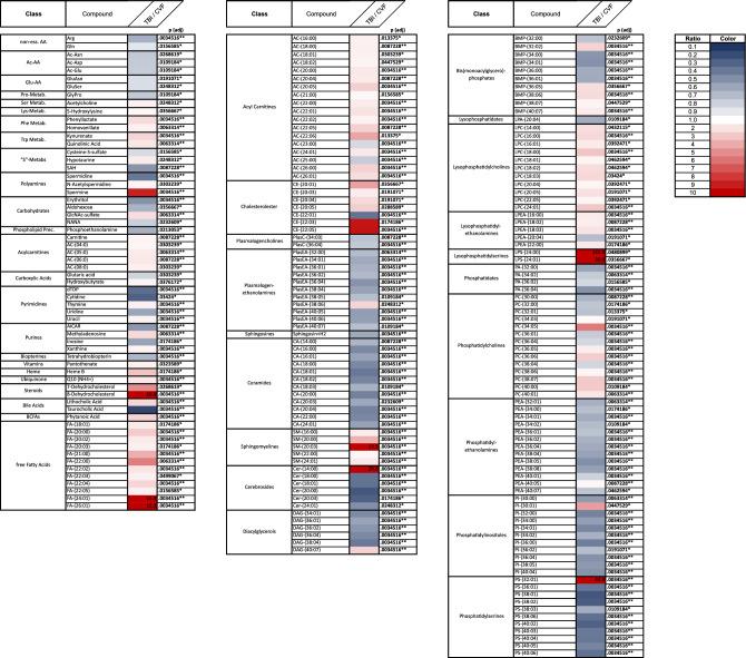 https://cdn.ncbi.nlm.nih.gov/pmc/blobs/23e0/11176198/f67222409b76/41598_2024_64312_Fig1_HTML.jpg