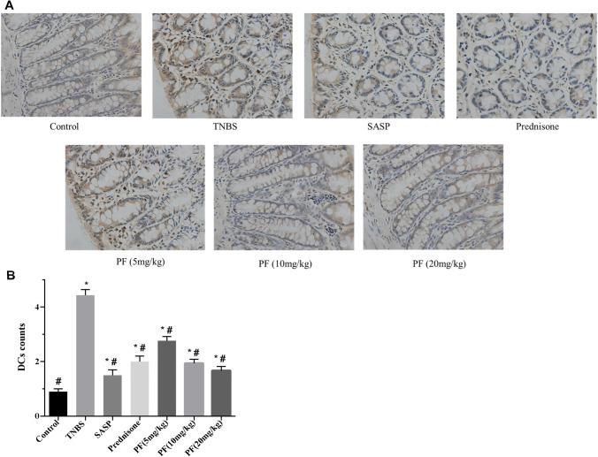 https://cdn.ncbi.nlm.nih.gov/pmc/blobs/23e1/7572351/0ccb2c8c7012/10787_2020_722_Fig6_HTML.jpg