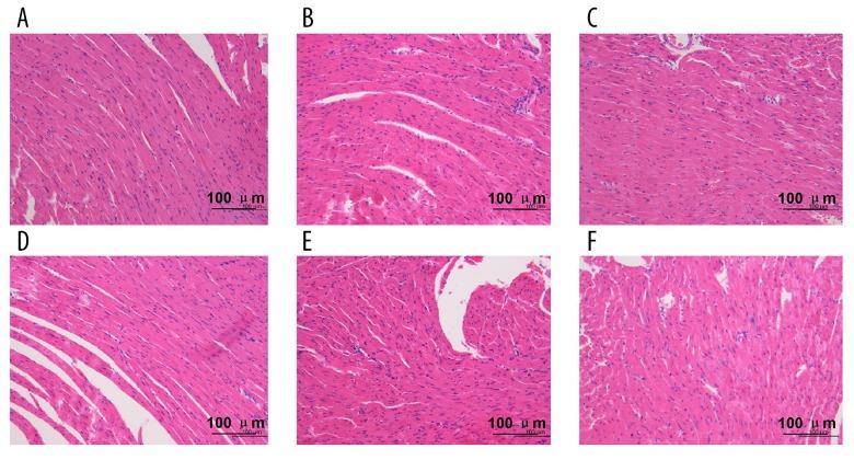 https://cdn.ncbi.nlm.nih.gov/pmc/blobs/23e2/6327778/d20423e05c05/medscimonit-25-61-g004.jpg
