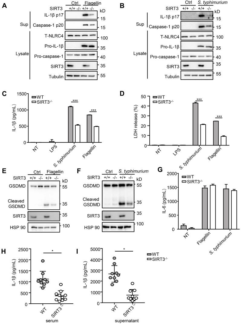 https://cdn.ncbi.nlm.nih.gov/pmc/blobs/23e2/7914345/1e3b12c54fb3/thnov11p3981g001.jpg