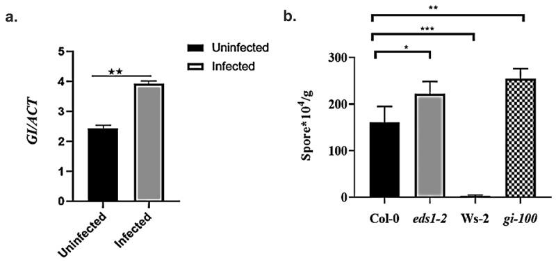 https://cdn.ncbi.nlm.nih.gov/pmc/blobs/23e2/8986176/02cf00773802/KPSB_A_2058719_F0001_B.jpg