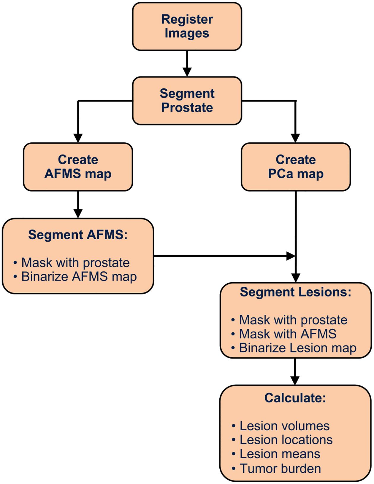 https://cdn.ncbi.nlm.nih.gov/pmc/blobs/23e3/11229728/84cdc080f5c1/nihms-2004256-f0001.jpg