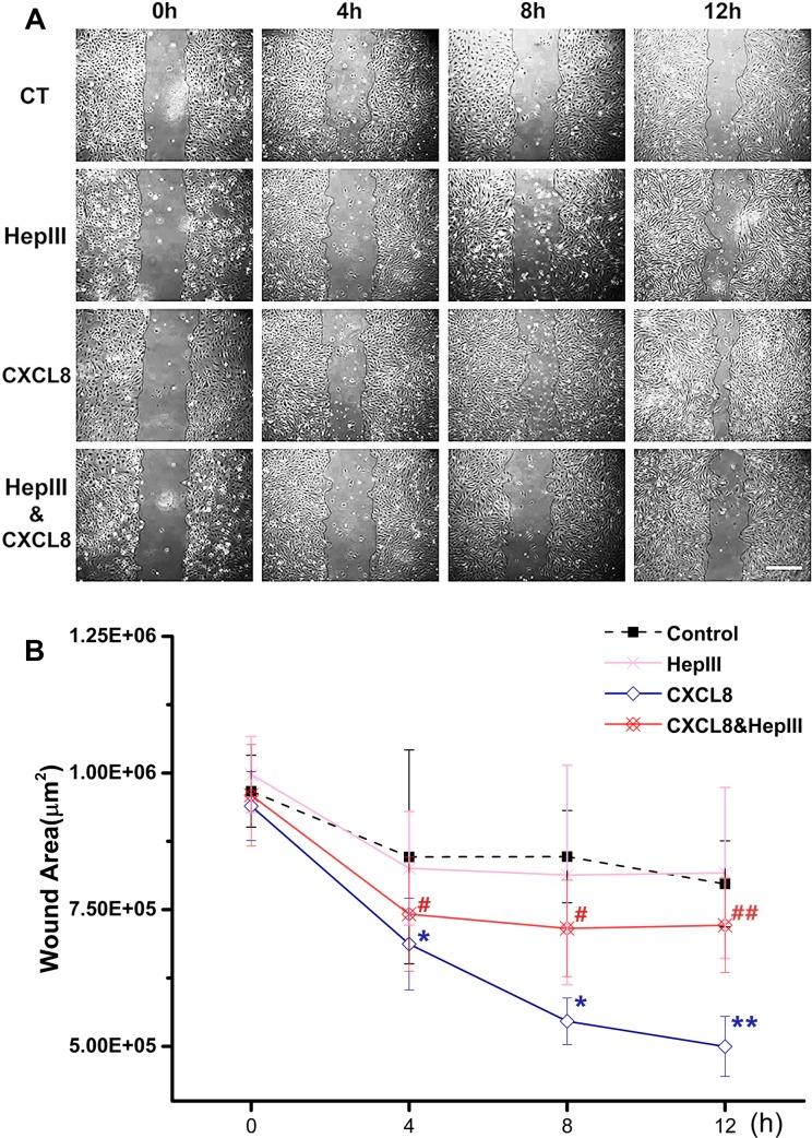 https://cdn.ncbi.nlm.nih.gov/pmc/blobs/23e3/4748698/c548b37de316/peerj-04-1669-g001.jpg