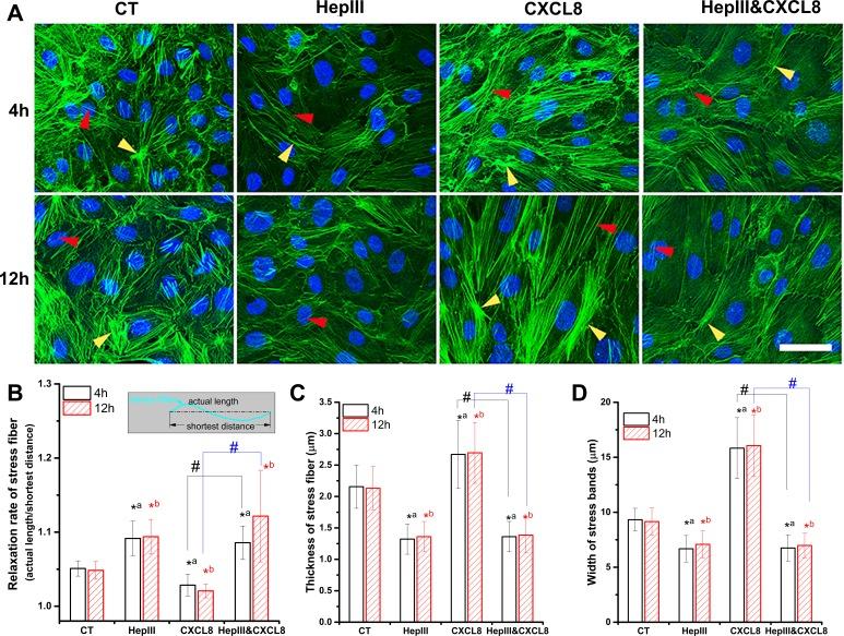https://cdn.ncbi.nlm.nih.gov/pmc/blobs/23e3/4748698/fafad83744a4/peerj-04-1669-g004.jpg