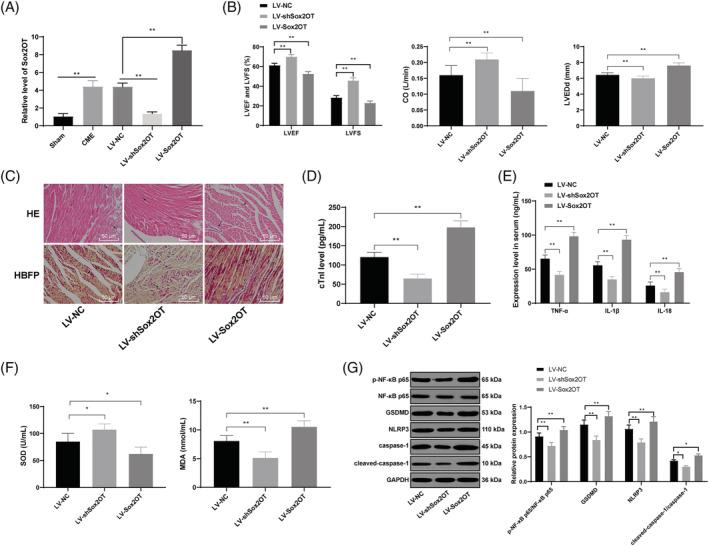 https://cdn.ncbi.nlm.nih.gov/pmc/blobs/23e4/9065873/268a08d62831/EHF2-9-1689-g001.jpg