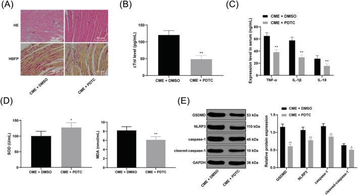 https://cdn.ncbi.nlm.nih.gov/pmc/blobs/23e4/9065873/8450a3beac7a/EHF2-9-1689-g004.jpg