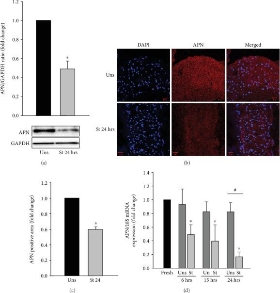 https://cdn.ncbi.nlm.nih.gov/pmc/blobs/23e5/7260649/2fb5b2d3ec3b/OMCL2020-6425782.001.jpg