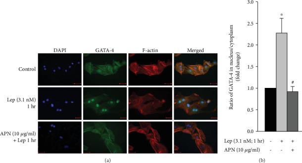 https://cdn.ncbi.nlm.nih.gov/pmc/blobs/23e5/7260649/5bacfda59347/OMCL2020-6425782.008.jpg