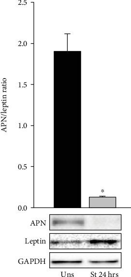 https://cdn.ncbi.nlm.nih.gov/pmc/blobs/23e5/7260649/cd73ea436abb/OMCL2020-6425782.003.jpg