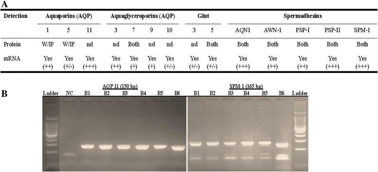 https://cdn.ncbi.nlm.nih.gov/pmc/blobs/23e7/5774113/0f692d330ecd/12864_2018_4442_Fig4_HTML.jpg