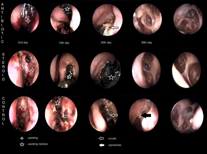 https://cdn.ncbi.nlm.nih.gov/pmc/blobs/23e7/9443042/0e7d9baca495/gr2.jpg