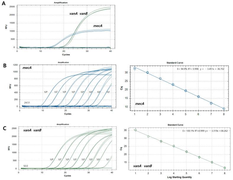 https://cdn.ncbi.nlm.nih.gov/pmc/blobs/23e8/11509969/5a4d2a4fad2c/pathogens-13-00853-g003.jpg