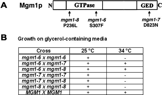 https://cdn.ncbi.nlm.nih.gov/pmc/blobs/23e9/2172654/07fa4b512f82/200209015f4.jpg