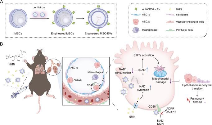 https://cdn.ncbi.nlm.nih.gov/pmc/blobs/23ea/10919282/0273f6a3517a/nn3c10547_0009.jpg