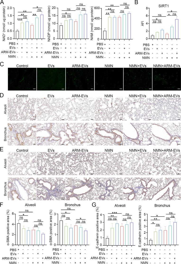 https://cdn.ncbi.nlm.nih.gov/pmc/blobs/23ea/10919282/81f8e322c7e8/nn3c10547_0008.jpg