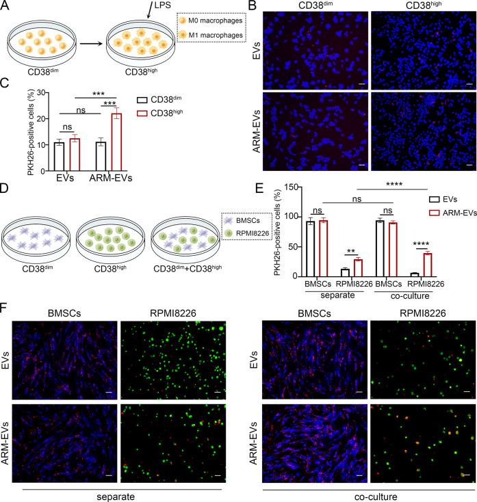 https://cdn.ncbi.nlm.nih.gov/pmc/blobs/23ea/10919282/9f8b5fff6eb8/nn3c10547_0002.jpg