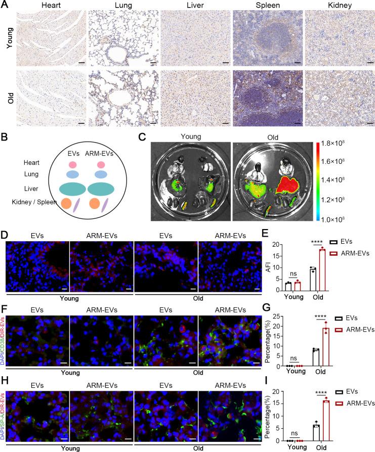https://cdn.ncbi.nlm.nih.gov/pmc/blobs/23ea/10919282/a5c0259cdb33/nn3c10547_0006.jpg