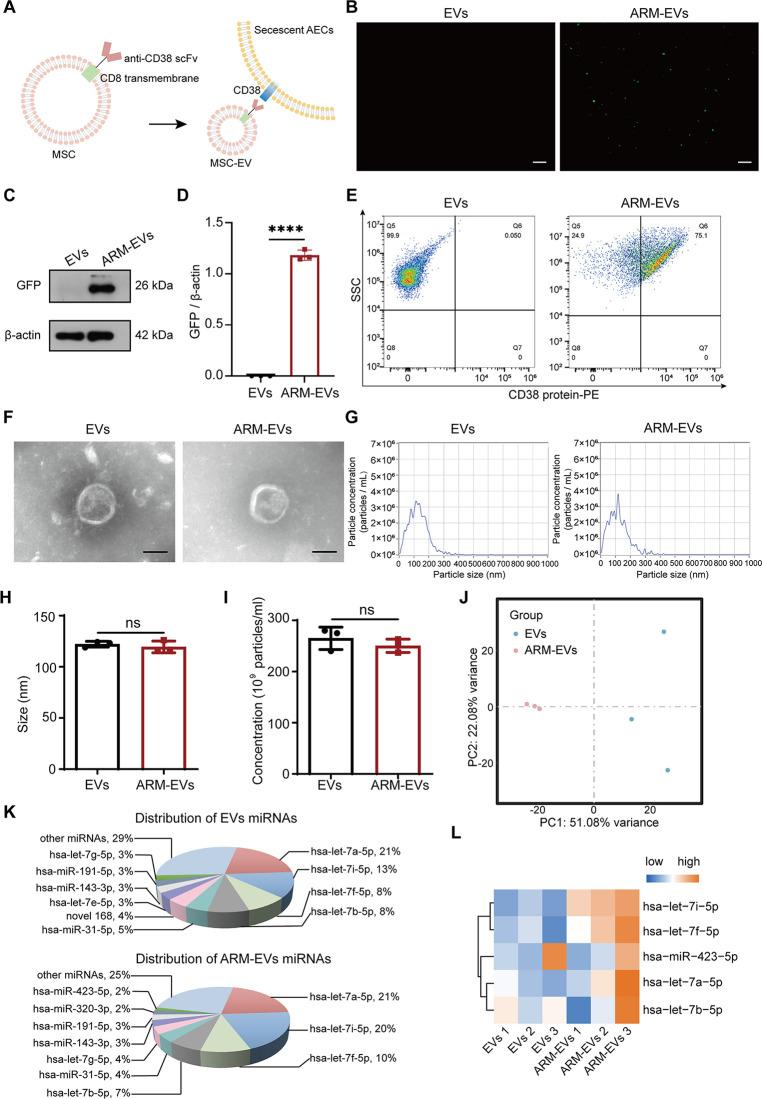 https://cdn.ncbi.nlm.nih.gov/pmc/blobs/23ea/10919282/ba08dec8dfea/nn3c10547_0001.jpg
