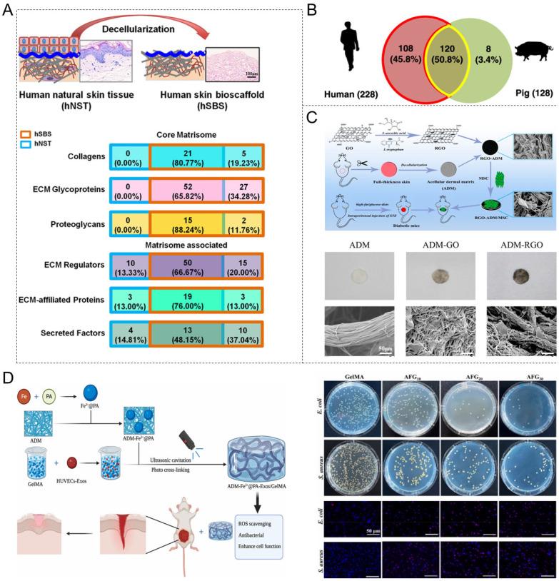 https://cdn.ncbi.nlm.nih.gov/pmc/blobs/23ea/12194566/0da6f9ba5d74/materials-18-02752-g002.jpg