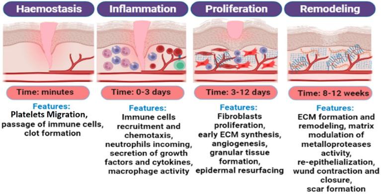 https://cdn.ncbi.nlm.nih.gov/pmc/blobs/23ea/12194566/593c15c1d1d5/materials-18-02752-g001.jpg